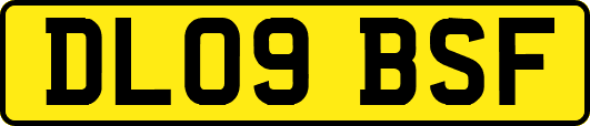 DL09BSF