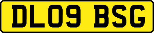DL09BSG