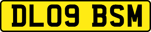 DL09BSM