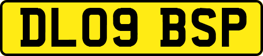 DL09BSP