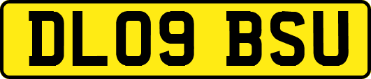 DL09BSU