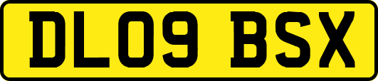 DL09BSX