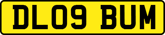 DL09BUM