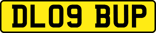 DL09BUP