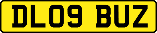DL09BUZ