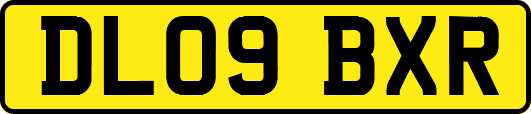DL09BXR