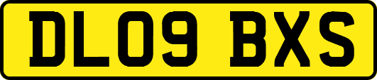 DL09BXS