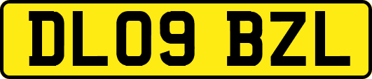 DL09BZL