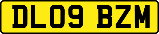 DL09BZM