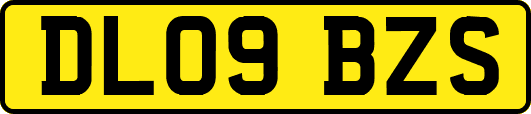 DL09BZS