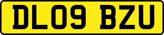 DL09BZU