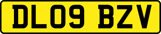 DL09BZV