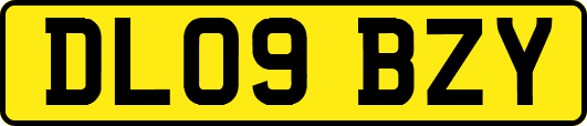 DL09BZY