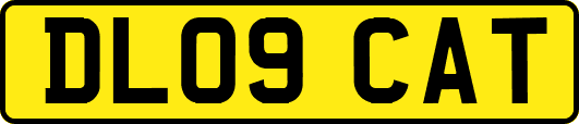 DL09CAT