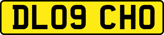 DL09CHO