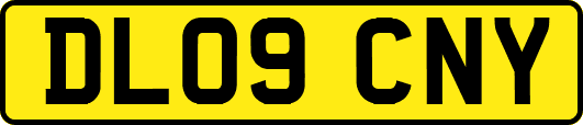 DL09CNY