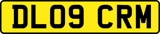 DL09CRM