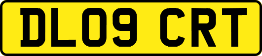 DL09CRT