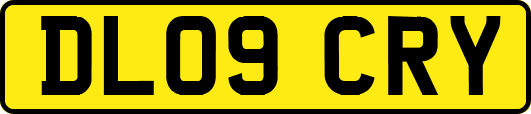 DL09CRY