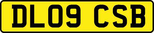 DL09CSB