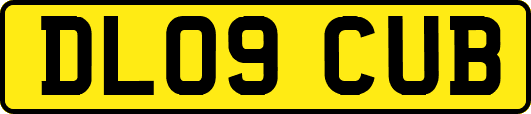 DL09CUB