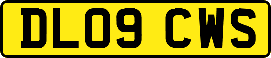 DL09CWS