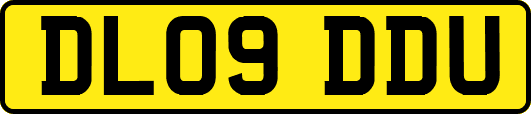 DL09DDU