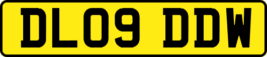 DL09DDW
