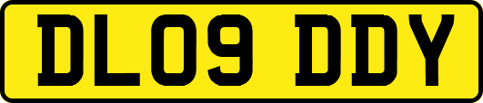 DL09DDY