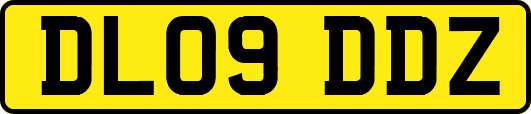 DL09DDZ
