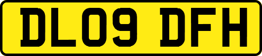 DL09DFH