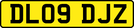 DL09DJZ