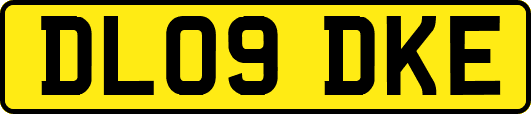 DL09DKE