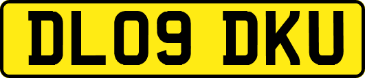 DL09DKU