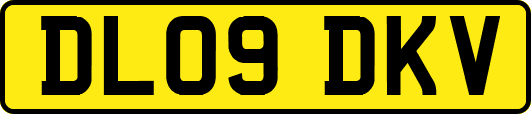 DL09DKV