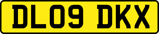 DL09DKX