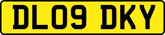 DL09DKY