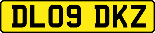 DL09DKZ