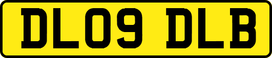DL09DLB
