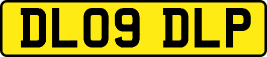 DL09DLP