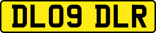 DL09DLR
