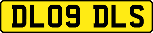 DL09DLS