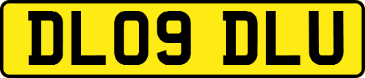 DL09DLU