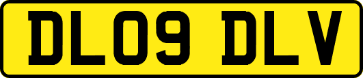 DL09DLV