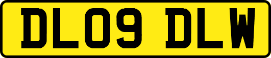 DL09DLW