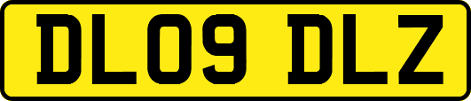 DL09DLZ