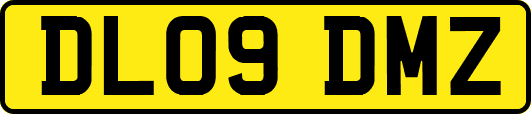 DL09DMZ