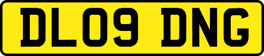 DL09DNG
