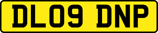 DL09DNP