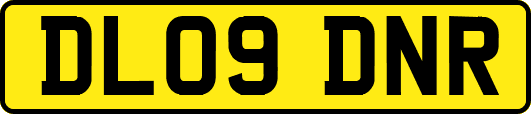 DL09DNR